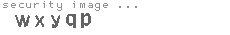 security image
